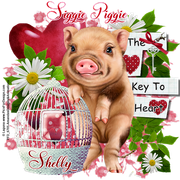 20-Laguna-Key-To-Heart-Sig-Pig-Shelly