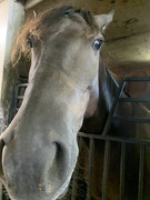 A3A10335-C445-48A1-81DD-CE5FBFAF765B