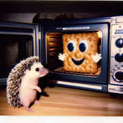 _062d8e79-0c19-42dd-b23d-8cdd4ccb2d29