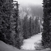 03343b2b97f8a96c526ba0d1b5b1e75f