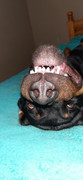 Tyson-De-Jager