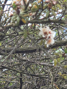 https://i.postimg.cc/gXzNvSfr/20260227-111009.jpg