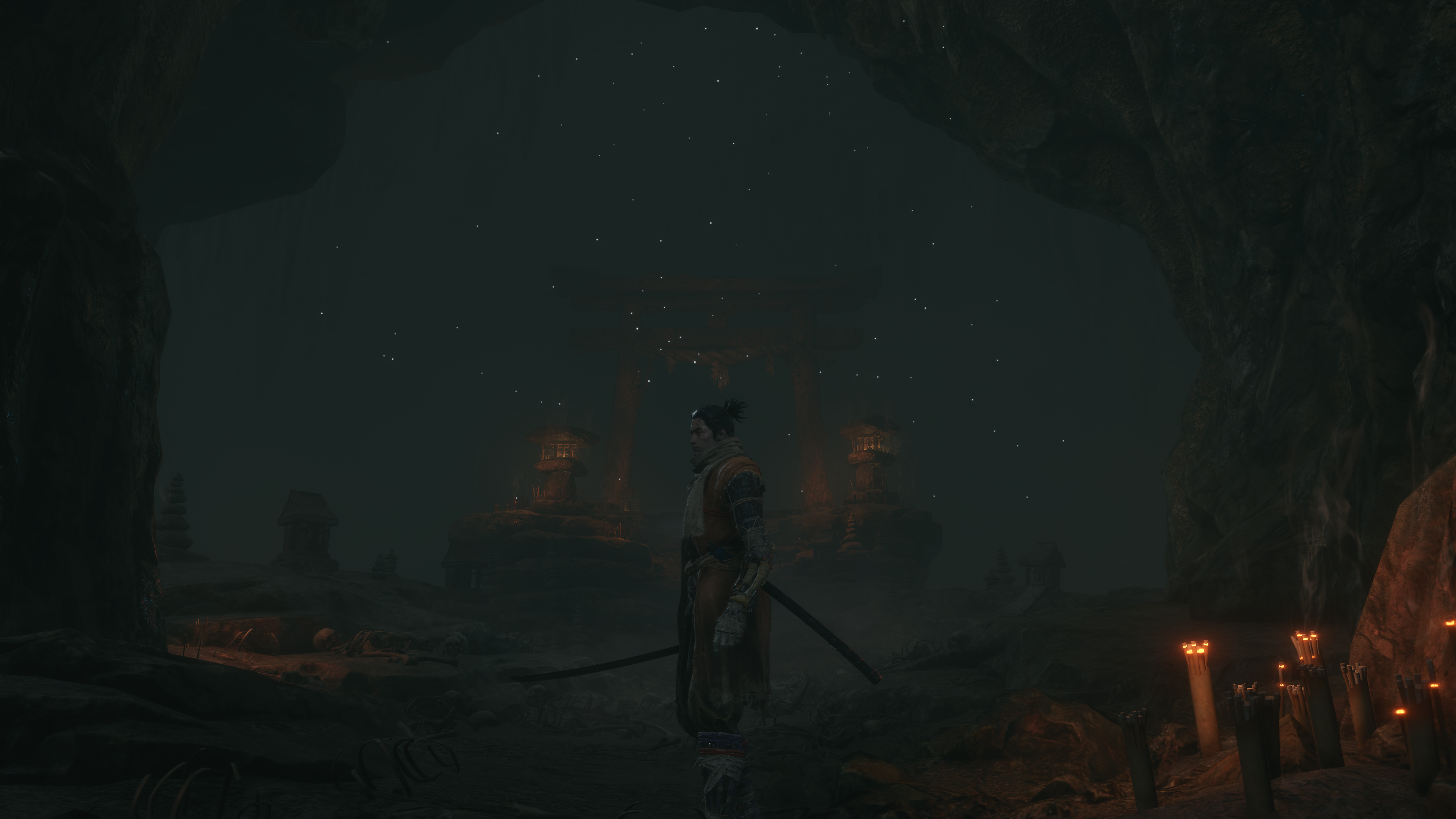 Sekiro-Shadows-Die-Twice-20260502214230.png