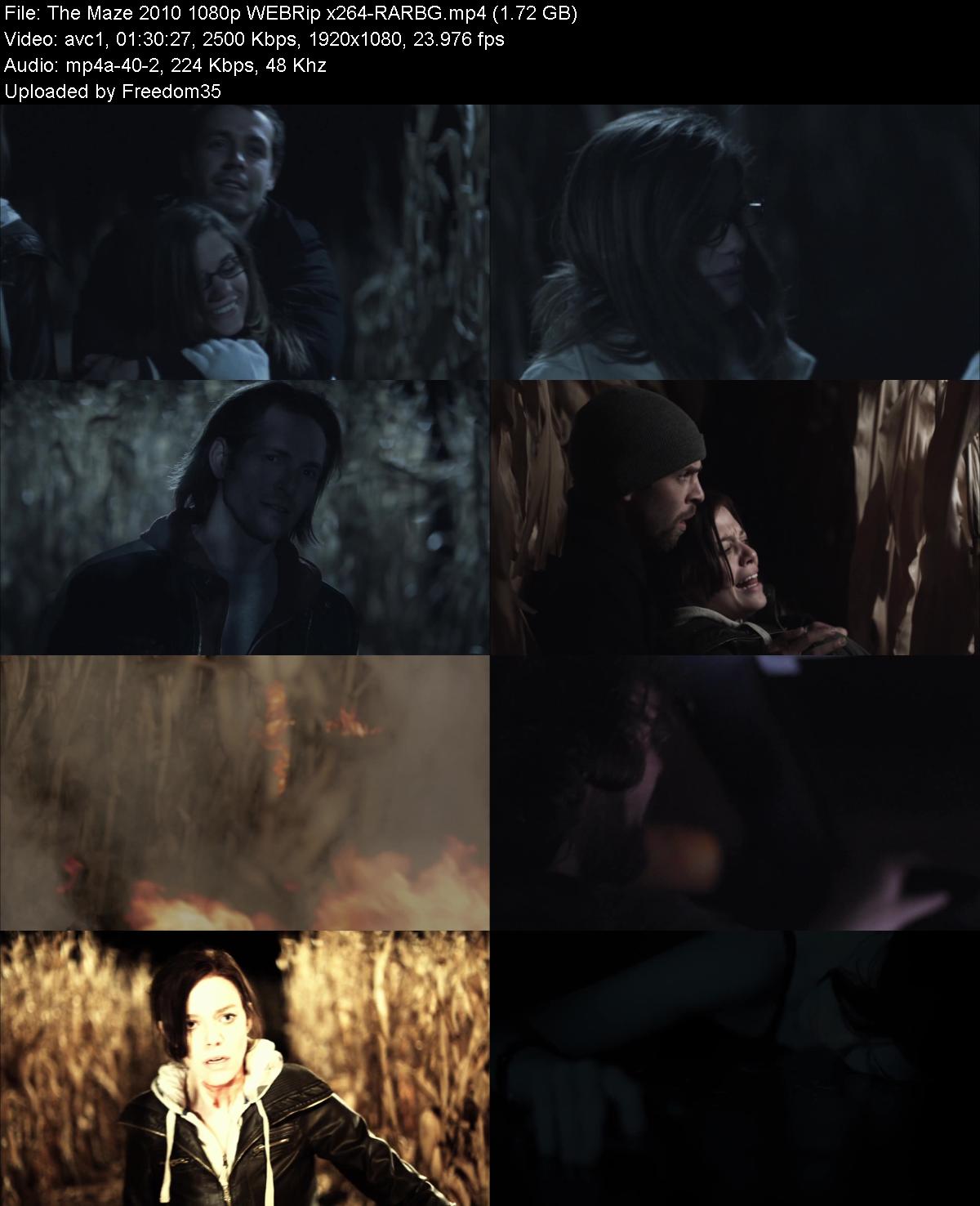 The-Maze-2010-1080p-WEBRip-x264-RARBG.jp