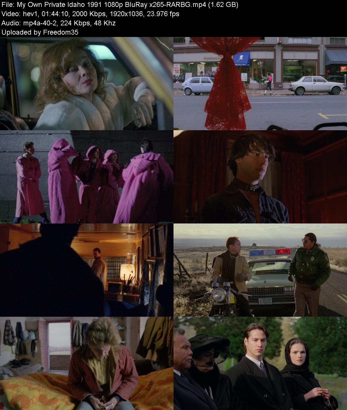 My-Own-Private-Idaho-1991-1080p-Blu-Ray-