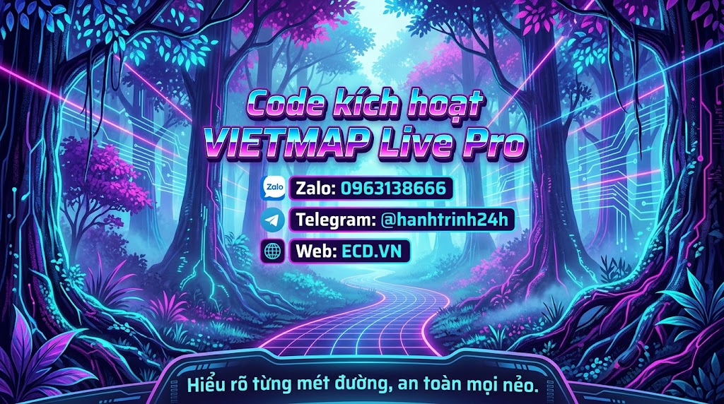 vietmap pro group