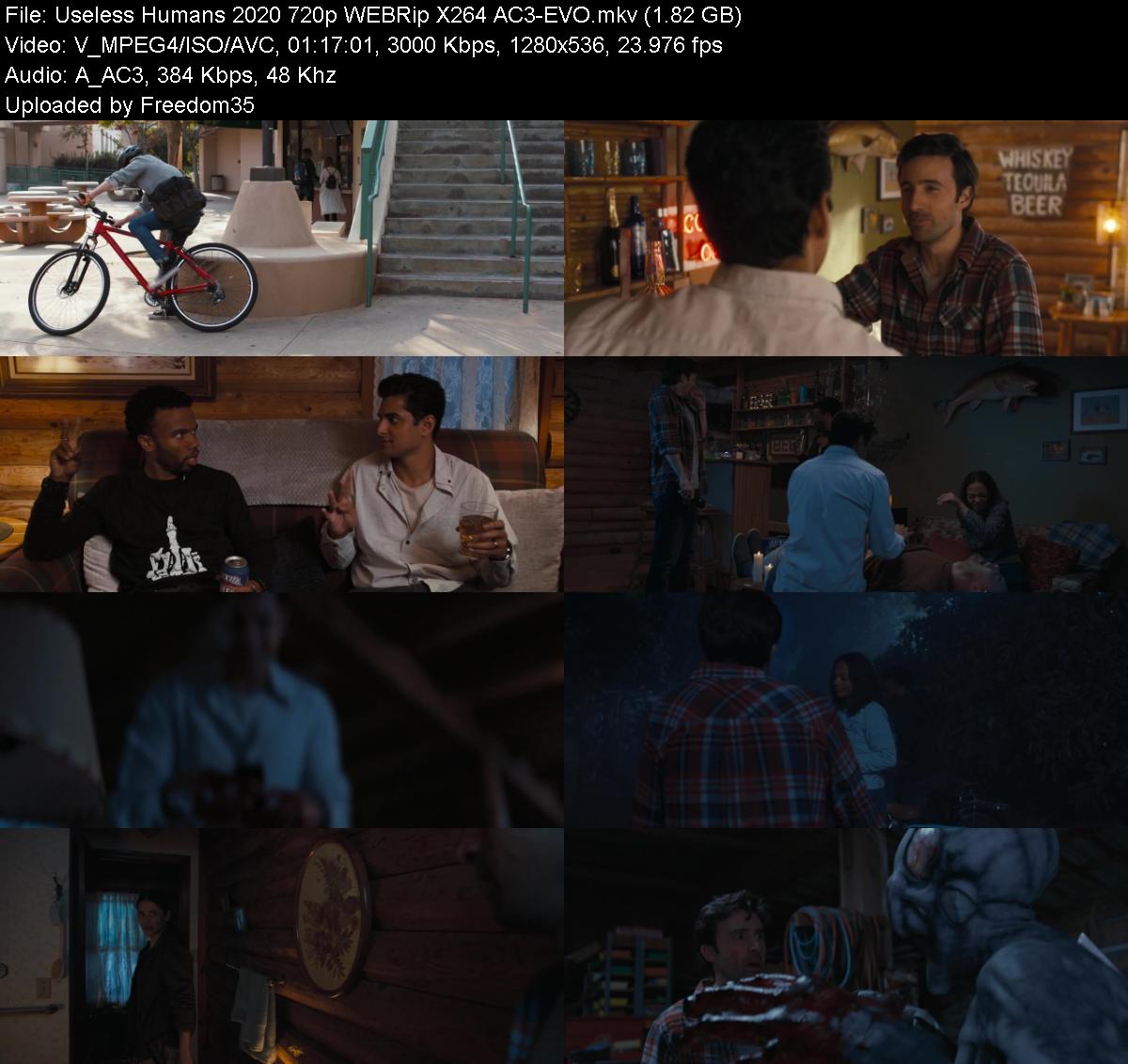 Useless-Humans-2020-720p-WEBRip-X264-AC3