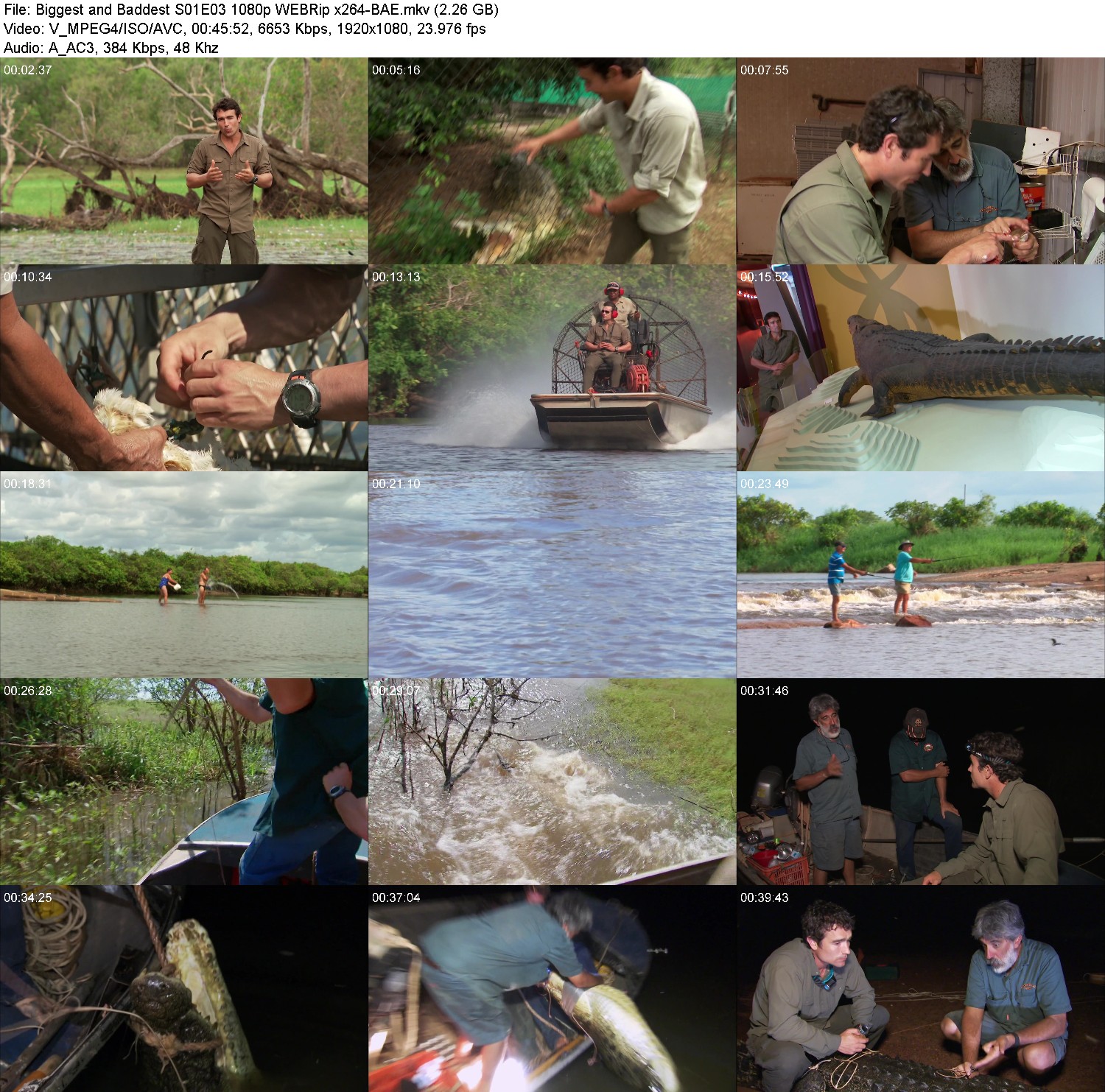 [Image: ceq6abap4o12.jpg]