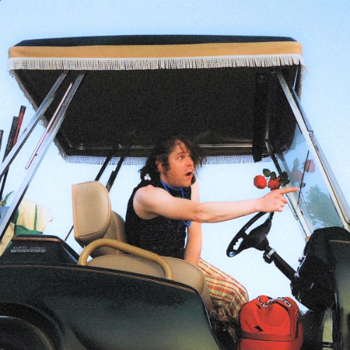 Ariel Pink - With You Every Night (2025)