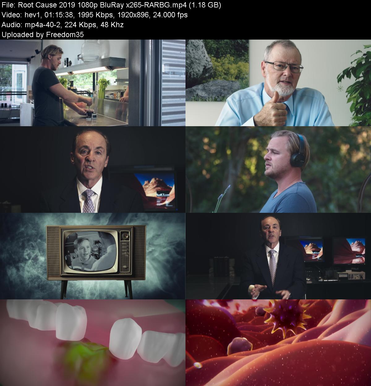 Root-Cause-2019-1080p-Blu-Ray-x265-RARBG