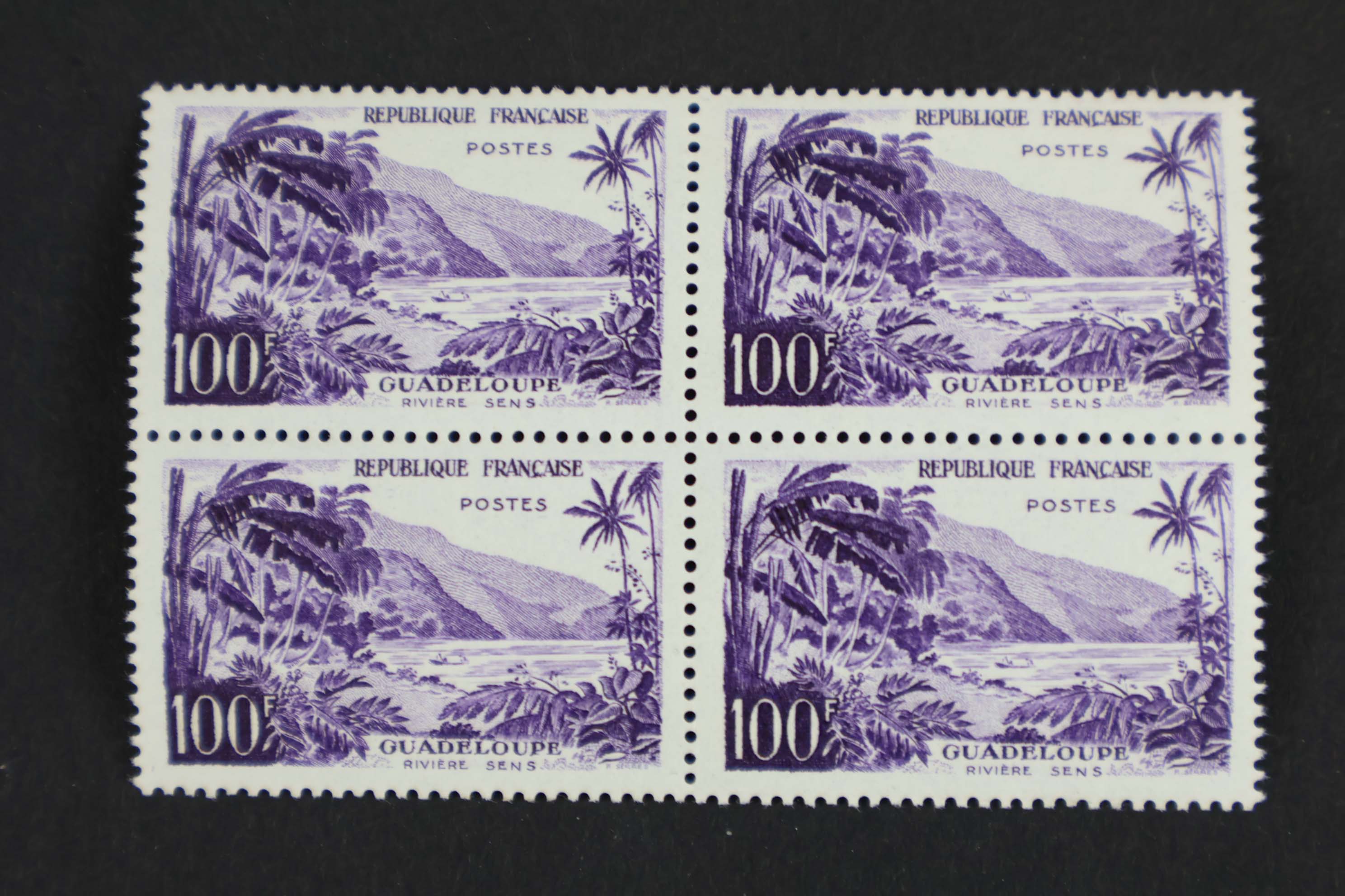 IMG-1918