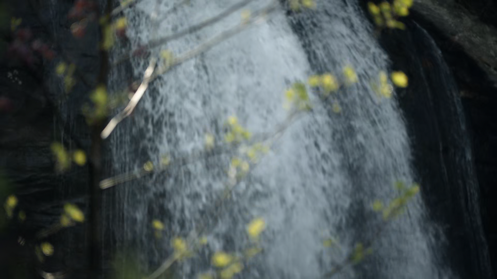 [Image: 4hljy1qp9i5a.png]