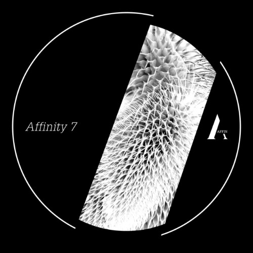 ArseÌ€ne Martinet & Michal Basar - Affinity 7 (2026)