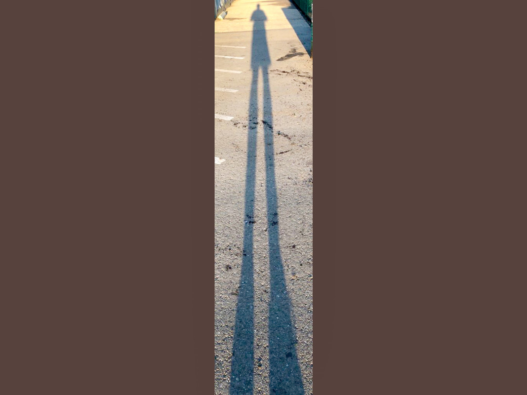 9D0CF607-C001-4C50-A086-7190824A1434