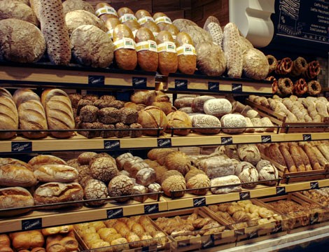 992342ece4690a83d5770a4069337f72v2_max_470x360_b3535db83dc50e27c1bb1392364c95a2