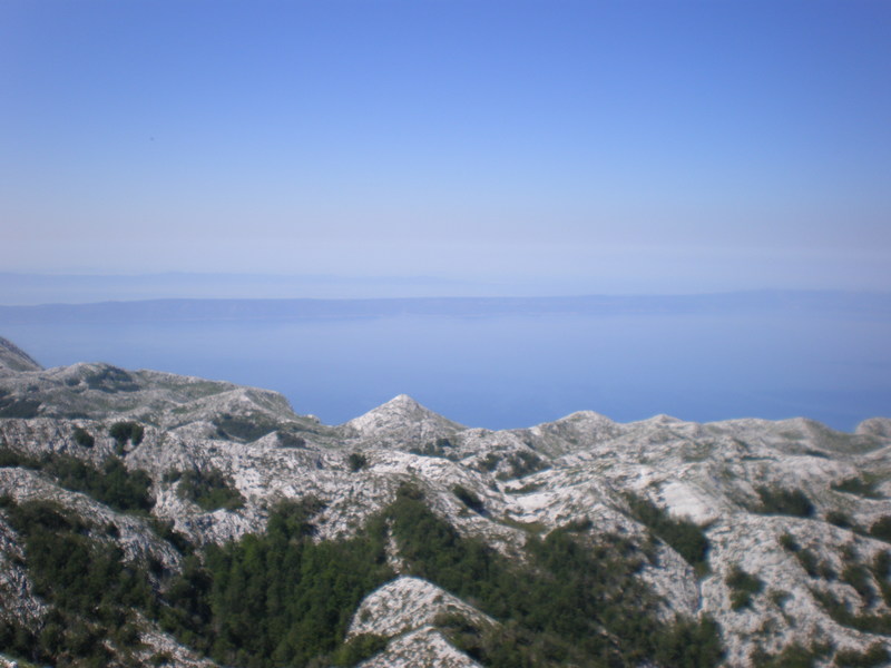 Picturevela luka 389