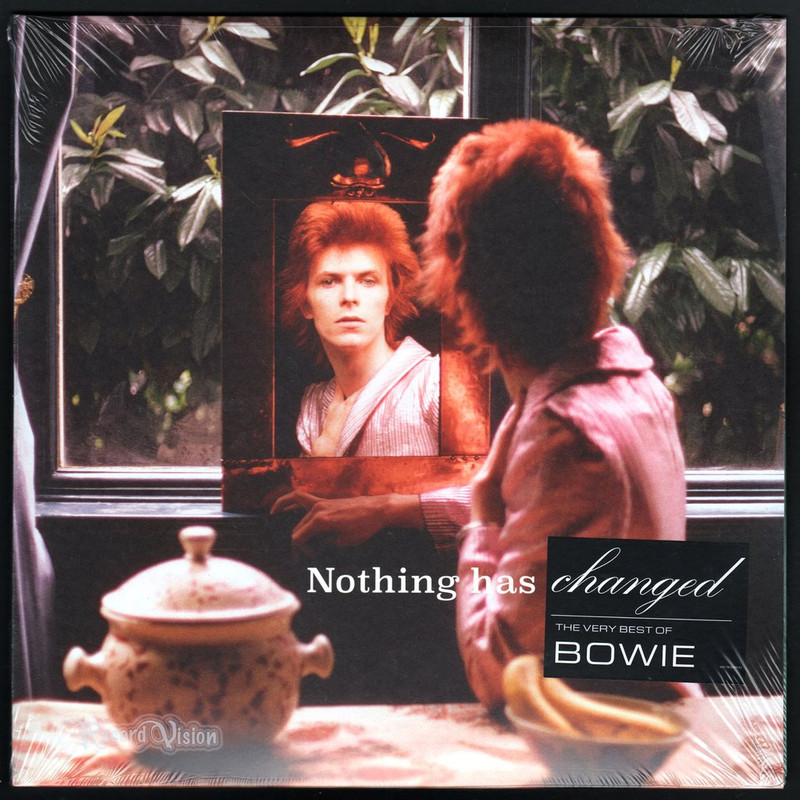 David Bowie - Nothing Has Changed