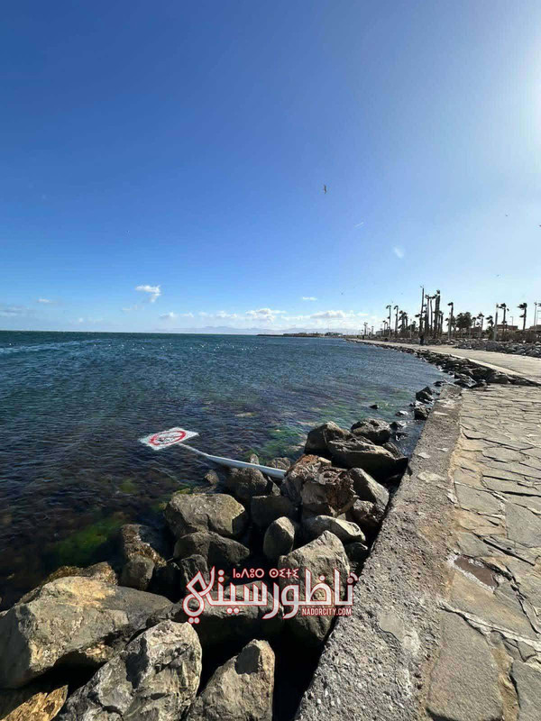 590174089-1347350996829744-6841811095879353351-n