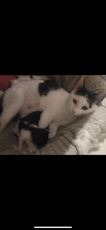 D8DC8367-71DF-4B2D-8D79-915F39A2C47A