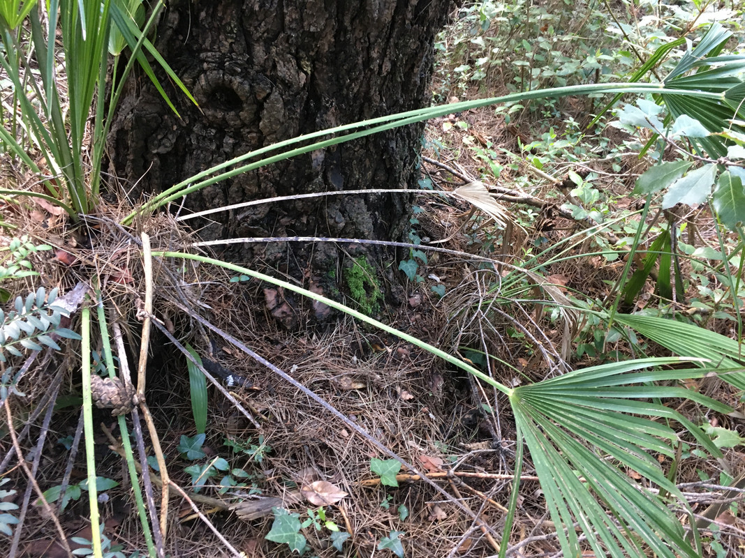 8156140A-1D28-4CC8-9381-29D288F9CCF1