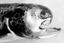 ED7DE79D-4D70-4E66-B062-CE4C02B04271