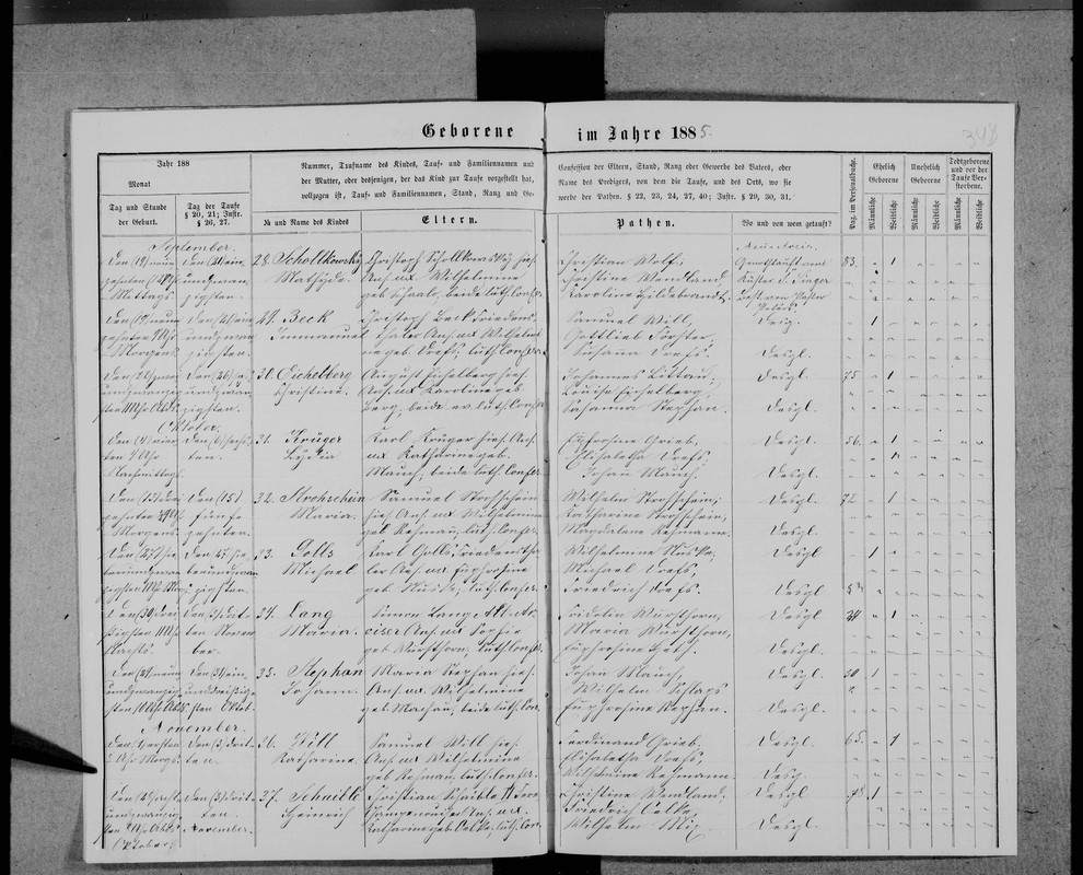 record-image_-1