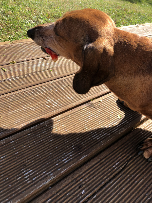 [Image: IMG-3374.jpg]