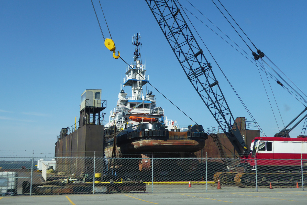 Hamilton 1 May 2018 Tim McKeil (1)