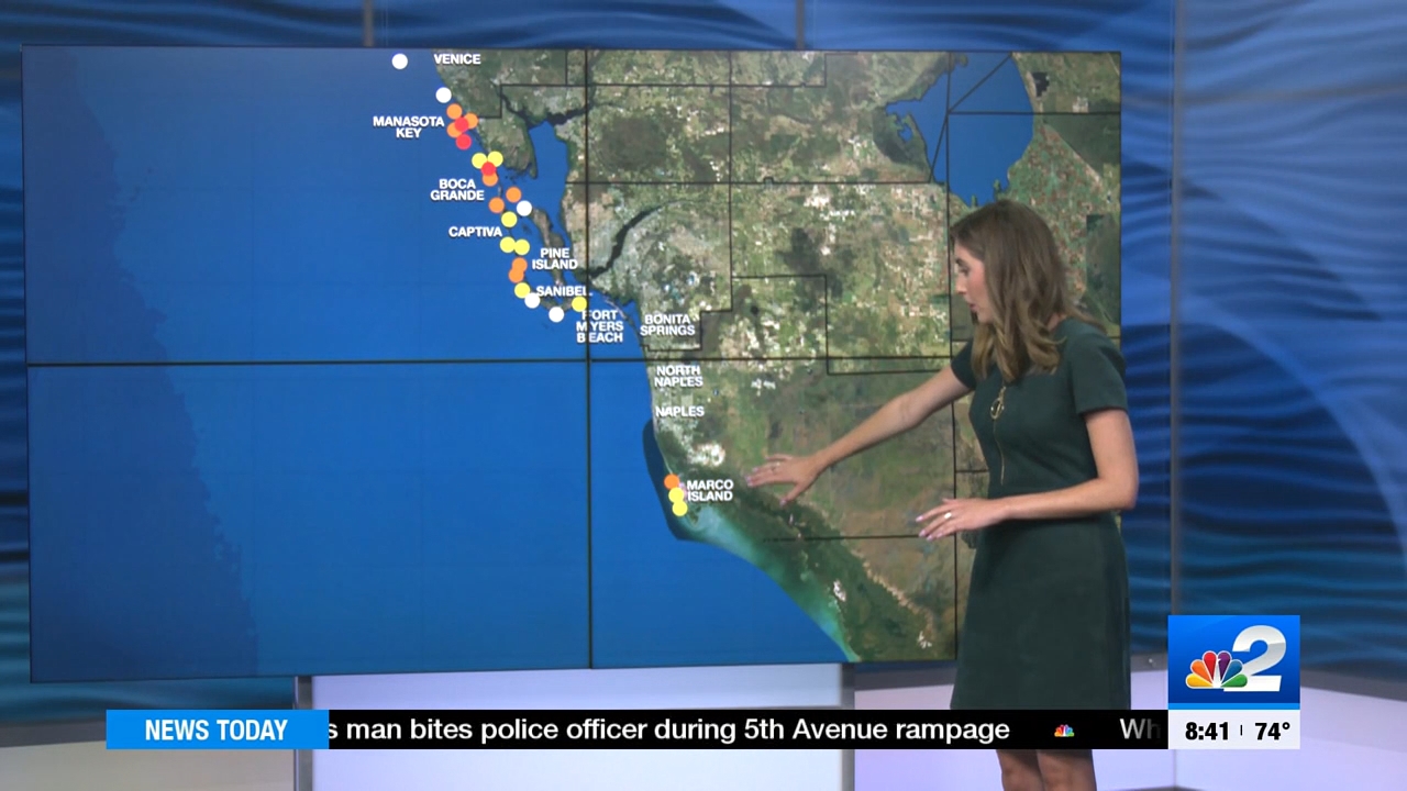 04.08 - 13.30.00 - NBC 2 News Today - Saturday  ᴺᵉʷ..ts_snapshot_00.17.30.672
