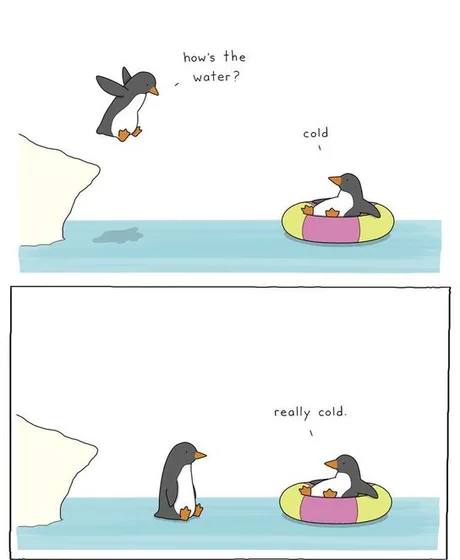 Winter-or-Summer