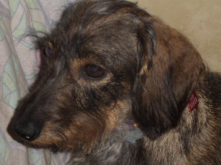 [Image: 002-2014-09-09.jpg]