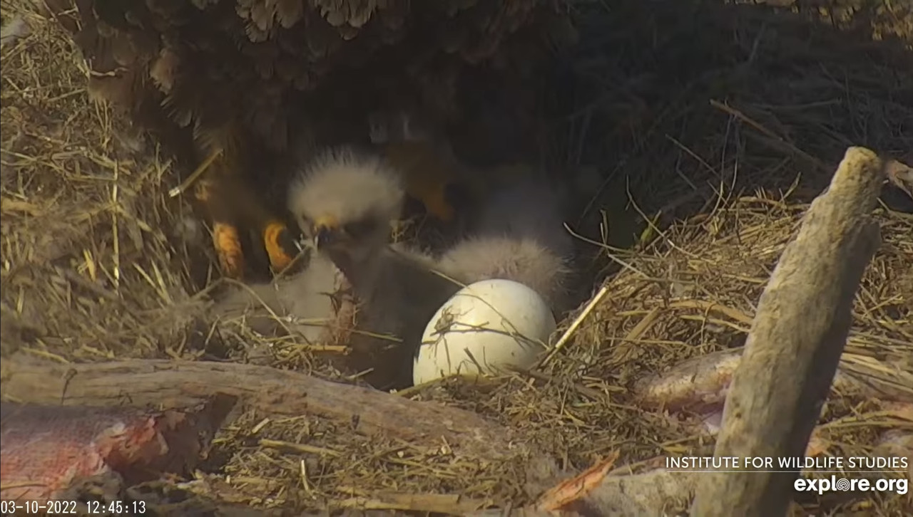 49BB229D-800F-4B75-9E1F-DDD7F04745C1