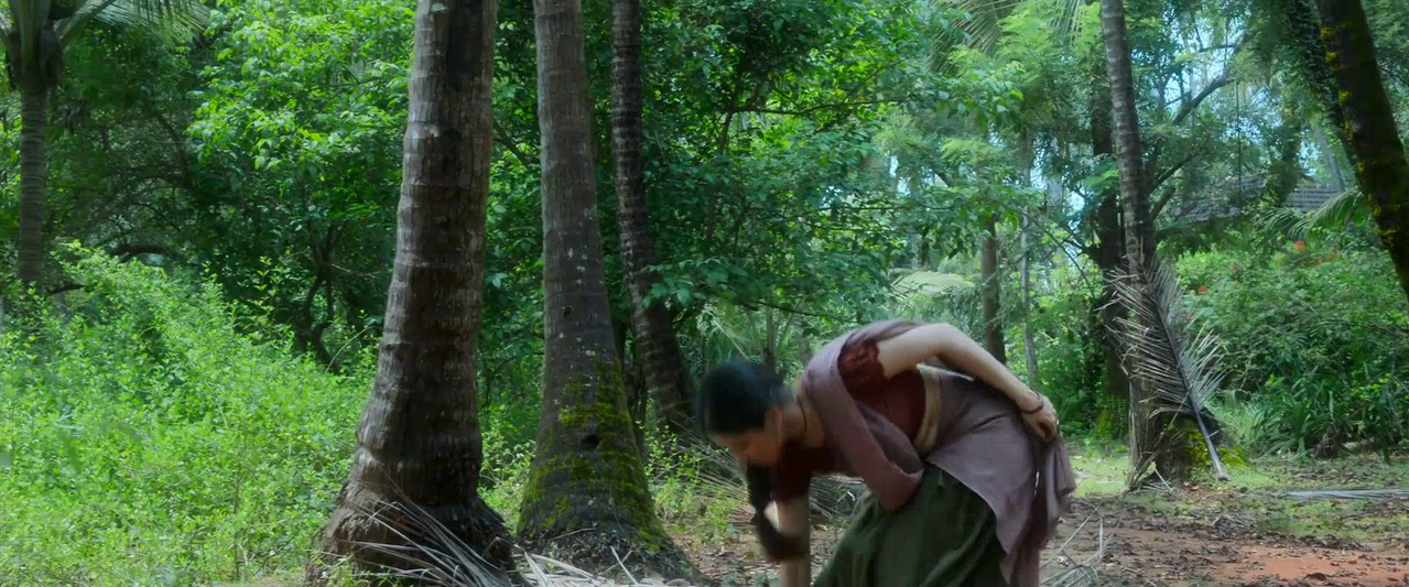 vlcsnap 2026 02 14 09h30m15s187