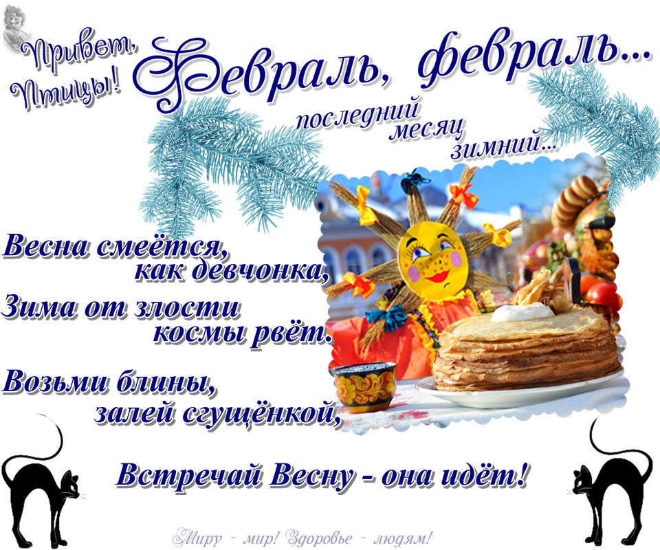https://i.postimg.cc/gc43hwS2/26-02.png