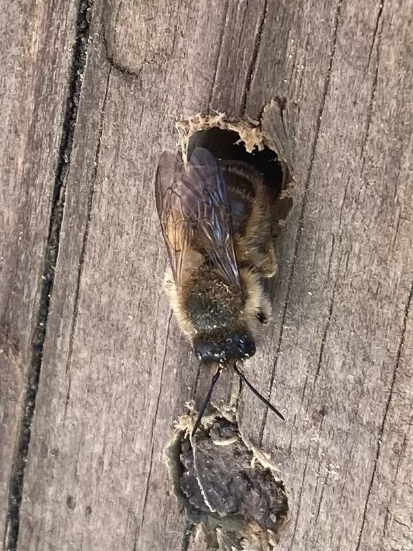 A2C8194D-2851-49EC-90C6-16C594606DCA