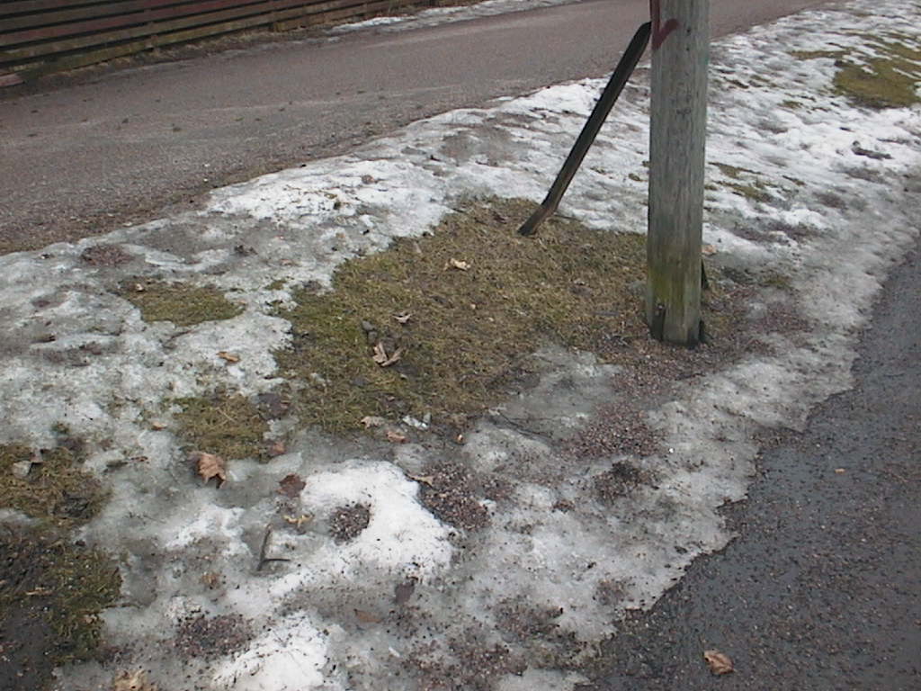 päivän löydöt 28032016 040