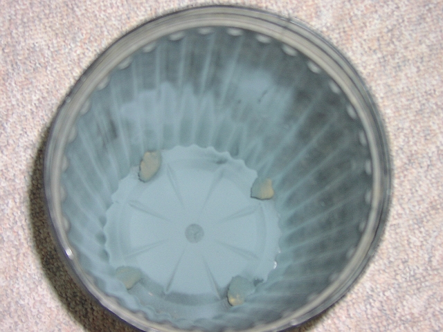 TreatedPot2011