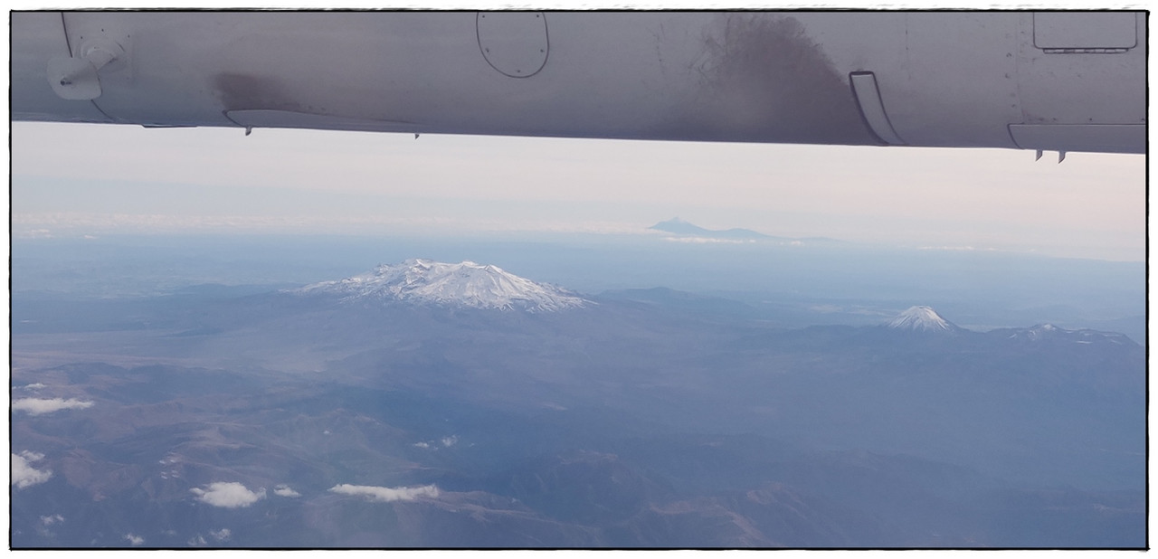 Escapadas y rutas por la Nueva Zelanda menos conocida - Blogs de Nueva Zelanda - Egmont / Taranaki NP: Pouakai Circuit (marzo 2021) (13)