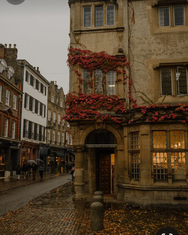 Screenshot_20231112_161414_Pinterest