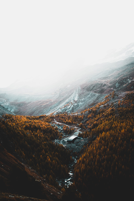 joshua-fuller-SFRVfLZ7ORo-unsplash