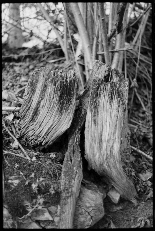 Leicaflex Standard_01gen2022_15 (859x1280)