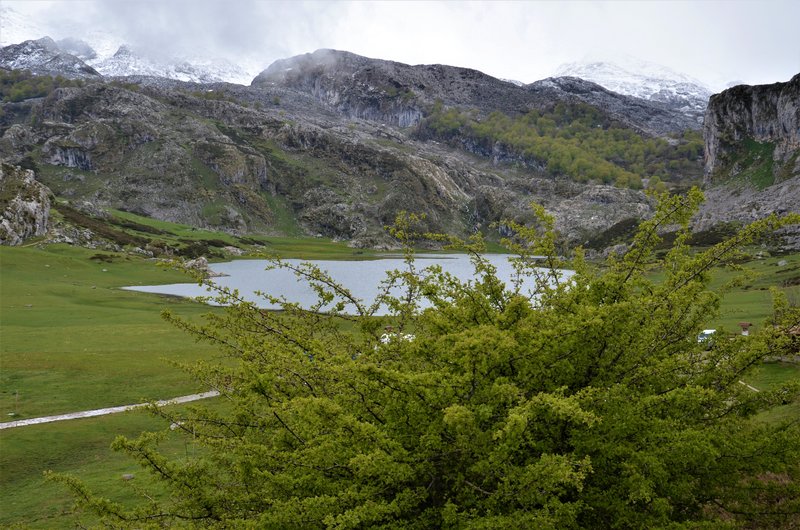 PICOS DE EUROPA-16-5-2013-LEON/ASTURIAS/CANTABRIA - Paseando por España-1991/2016 (31)