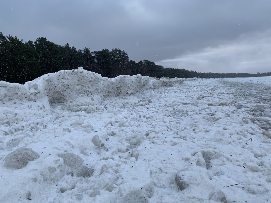 37F81A1D-B874-4314-A570-33820C986241