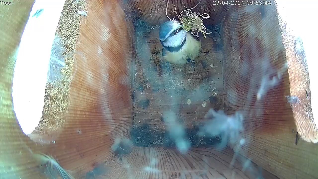 55E164B5-9980-4044-9E5F-0048FDF1BAFF