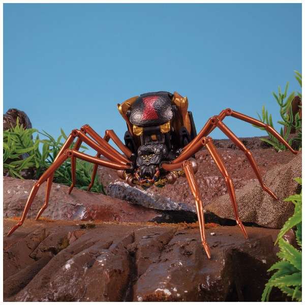 60138390_1739110466191545_7228282633199812608_n