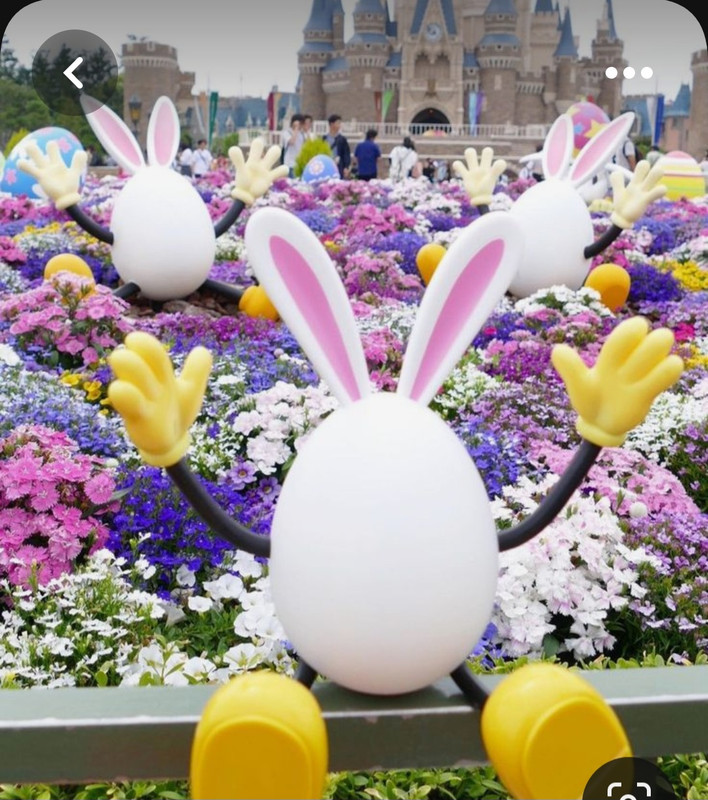 Screenshot_20230408_231005_Pinterest