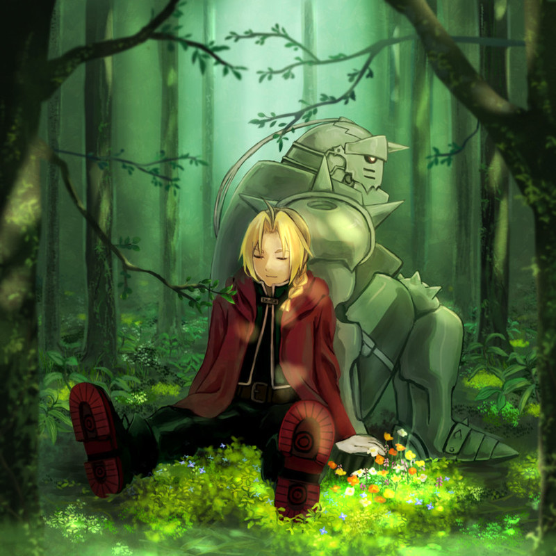 edward-elric-and-alphonse-elric-fullmeta