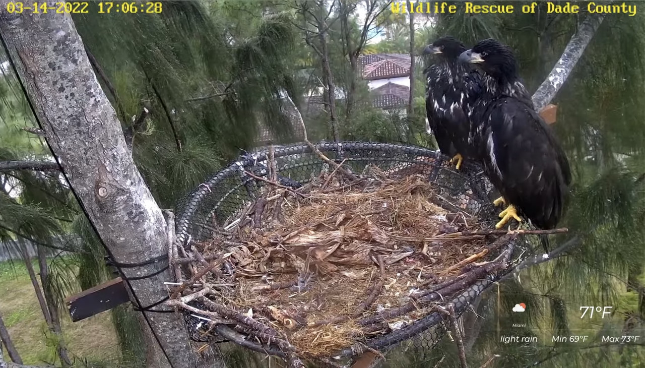 57E3052A-D351-45F6-B376-7FC8F82B7458