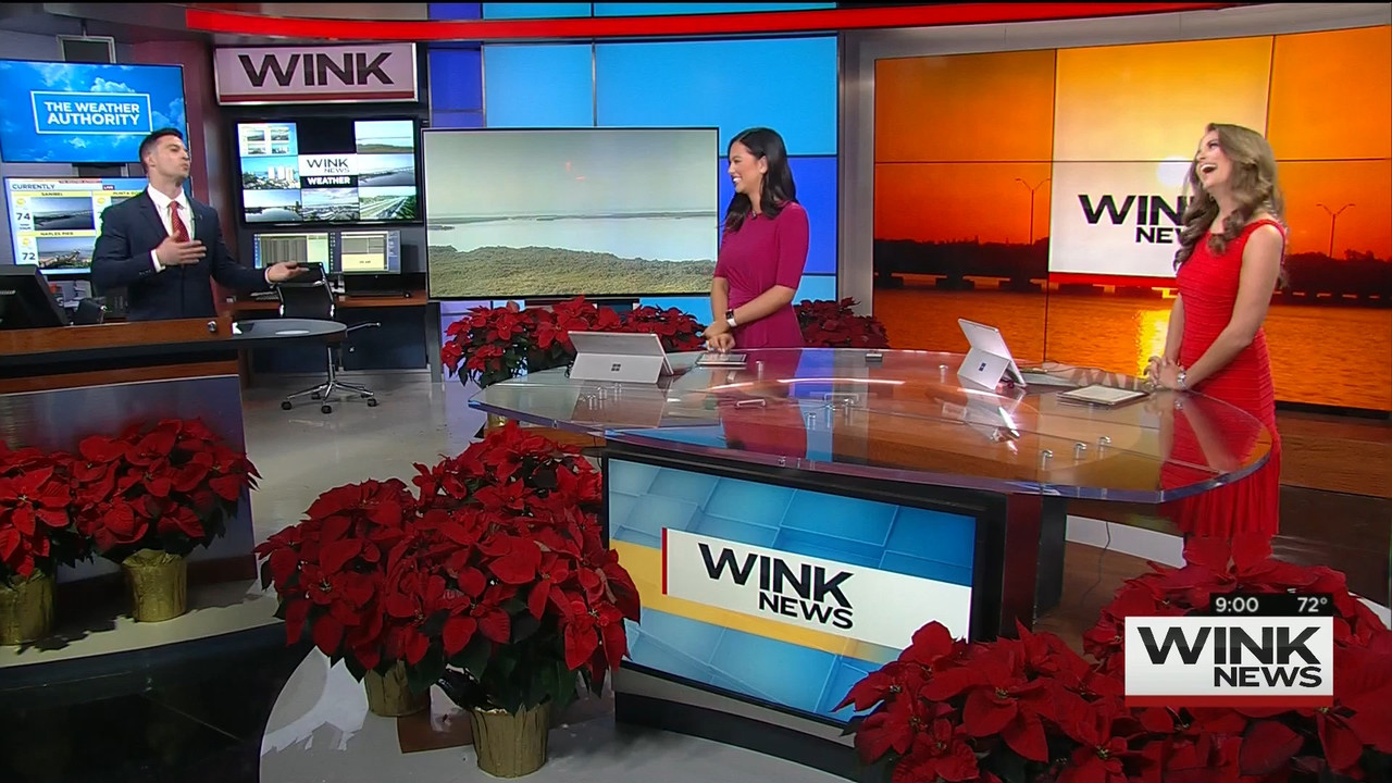 12.05 - 14.00.00 - WINK News @ 9 00AM..ts_snapshot_03.28.526