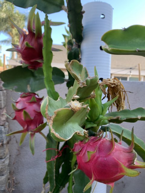 [Image: 05-B6-FF05-D96-E-42-E6-8-B49-877328-F38-B63.jpg]